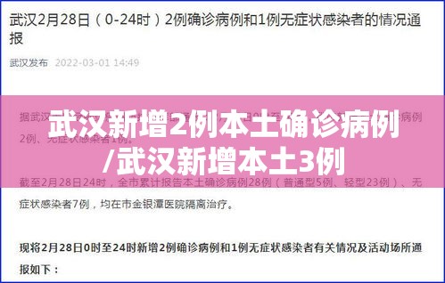 武汉新增2例本土确诊病例/武汉新增本土3例 武汉新增2例本土确诊病例/武汉新增本土3例