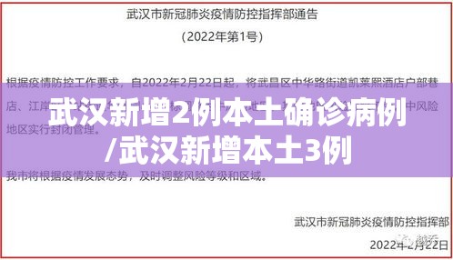 武汉新增2例本土确诊病例/武汉新增本土3例 武汉新增2例本土确诊病例/武汉新增本土3例