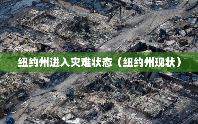 纽约州进入灾难状态(纽约州现状) 纽约州进入灾难状态(纽约州现状)