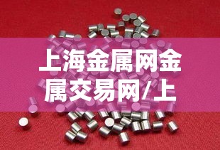 上海金属网金属交易网/上海金属网金属交易网官方网站 上海金属网金属交易网/上海金属网金属交易网官方网站