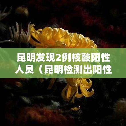 昆明发现2例核酸阳性人员（昆明检测出阳性）