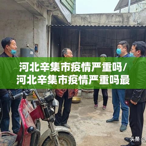 河北辛集市疫情严重吗/河北辛集市疫情严重吗最新消息 河北辛集市疫情严重吗/河北辛集市疫情严重吗最新消息
