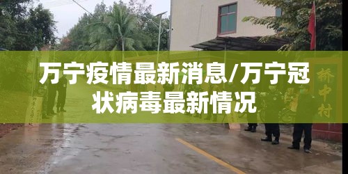 万宁疫情最新消息/万宁冠状病毒最新情况