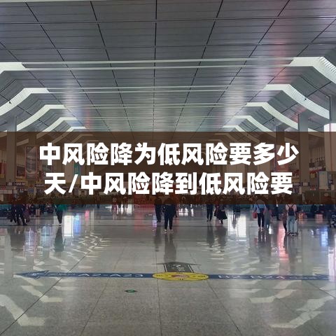 必备科技“情怀古诗词专用辅助器	”开挂详细方法