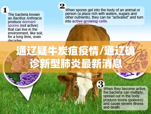 通辽疑牛炭疽疫情/通辽确诊新型肺炎最新消息 通辽疑牛炭疽疫情/通辽确诊新型肺炎最新消息