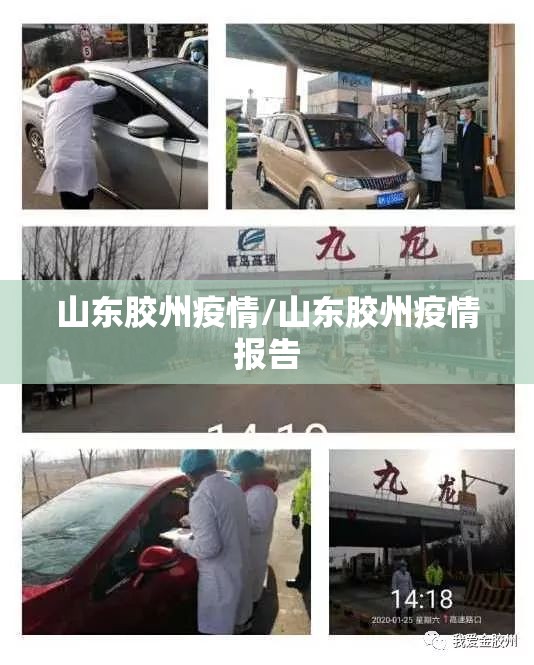 山东胶州疫情/山东胶州疫情报告 山东胶州疫情/山东胶州疫情报告