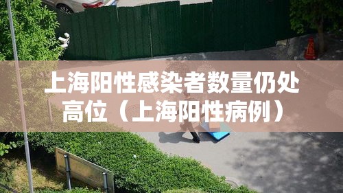 上海阳性感染者数量仍处高位（上海阳性病例）
