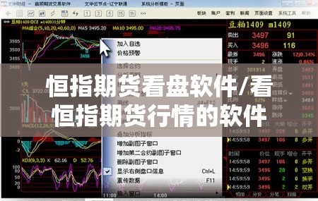 恒指期货看盘软件/看恒指期货行情的软件