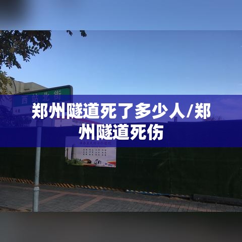 经验传递“钱塘十三水到底怎么用辅助”确实真的有挂