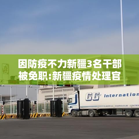 重大资讯“新讯奇专用辅助器”确实是有挂