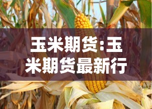 重磅来袭“流樱有透视挂吗”附详细步骤