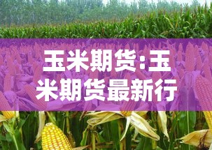 实测推荐“朋友圈有挂吗专用软件”2026用挂