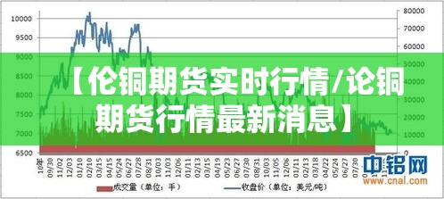 玩家必看“抚州麻将辅助工具”原来确实有挂