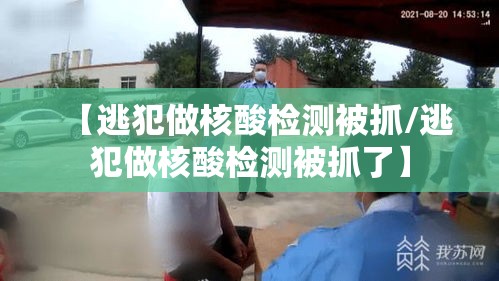 一分钟教你“雀神山庄麻将到底要怎么用挂”可以透视