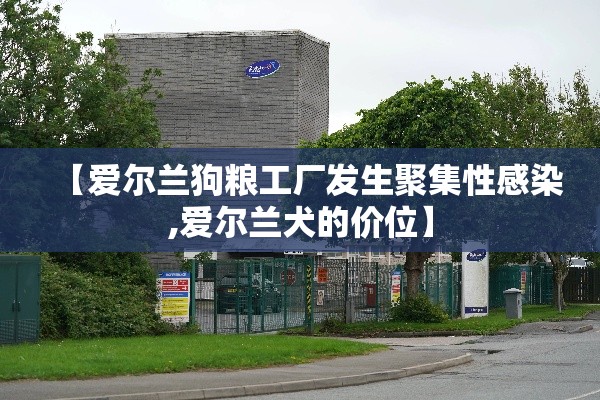 我来教教大家春笋的挂需要多少钱可以开挂教程