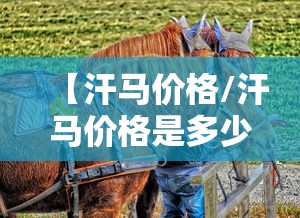 分享“小程序财神十三张有透视挂吗”详细开挂方法