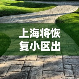 科普实测“顺意究竟能开挂挂吗	”(详细辅助脚本)