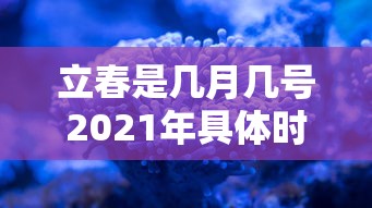 一分钟教你“闲来玩必赢透视神器”详细开挂教程