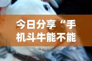 经验传递“边锋十三水有挂吗专用软件”其实确实有挂