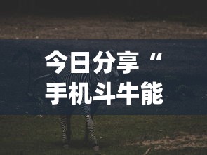 重大资讯“长沙麻将确实可以开挂”详细分享步骤