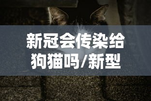 每日科技“朋友贵州麻将究竟有没有挂	”开挂方法