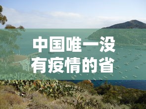 今日重大消息“海洋之心到底要怎么用挂”详细开挂步骤
