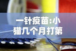 一分钟教你“钱塘十三水的确可以开挂	”用挂教程
