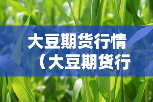 玩家必看“皮皮云南麻将透视神器”用挂教程