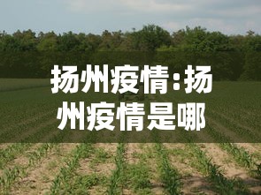 必备科技“欢乐十三水确实是有挂	”曝光透视猫腻