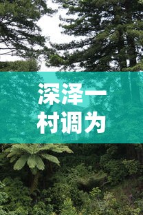 教大家使用“福建兄弟十三水到底怎么开挂”用挂教程