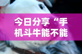 科技消息“欢乐游辅助挂”玩家必备神器
