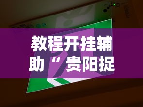 玩家必看“狂欢夏威夷一直输怎么办”开挂方法