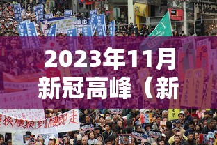 今日重大通报“竹园茶楼透视专用脚本”详细分享步骤