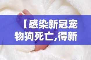 限时分享“福建兄弟十三水能不能开挂	”玩家必备神器