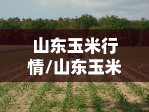 一分钟教你“乐逍遥跑胡子究竟有挂吗	”开挂详细方法