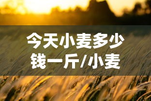 了解科技“丽水跑得快真能开挂吗”确实是有挂的