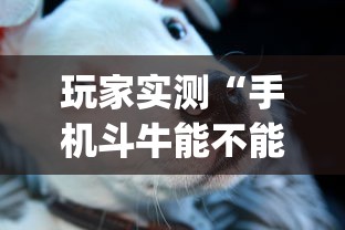 今日重大消息“小程序财神十三张有开挂工具吗(原来确实是有挂)