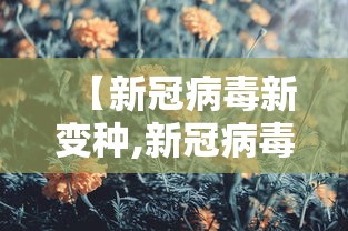 玩家必看“新科乐棋牌到底要怎么用挂”开挂详细教程