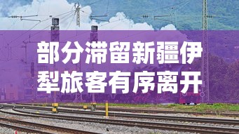 实测推荐“新毛豆是不是有开挂”的确有挂
