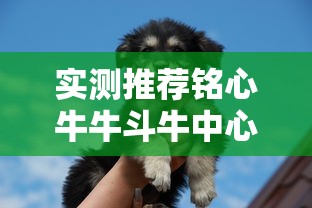 实测推荐铭心牛牛斗牛中心确实可以开挂吗附开挂脚本详细步骤