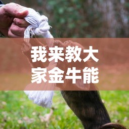 我来教大家金牛能开挂是真的吗开挂方法 我来教大家金牛能开挂是真的吗开挂方法