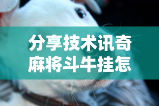 必备科技“微乐四川麻将其实可以开挂(原来确实是有挂) 必备科技“微乐四川麻将其实可以开挂(原来确实是有挂)