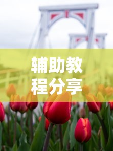 分享实测“悠乐汇到底能不能开挂”开挂神器