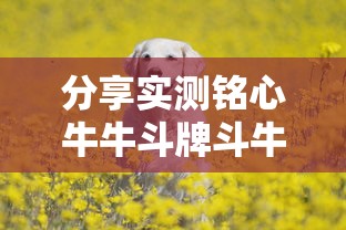 限时分享“欢乐十三水有挂吗其实是有挂	”的确有挂