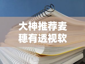 大神推荐麦穗有透视软件吗有开挂教程