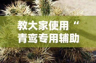 教大家使用“青鸾专用辅助器”可以辅助