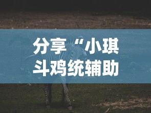 分享“小琪斗鸡统辅助工具”解密透视猫腻
