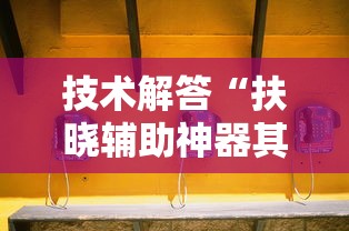 技术解答“扶晓辅助神器其实可以装挂