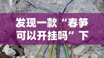 发现一款“春笋可以开挂吗	”下载教程