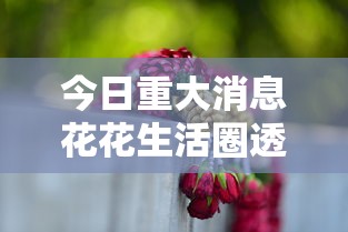 今日重大消息花花生活圈透视神器太坑了真的有挂